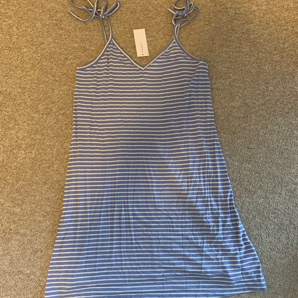 American Eagle Blue and White Striped Mimi Dress